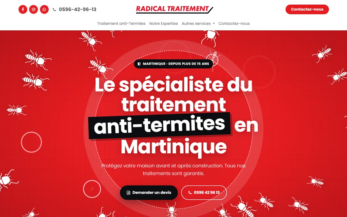 Site de Radical Traitement